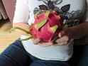 fix-IMG_0368
